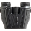 Focus Action III 10x25 binoculars