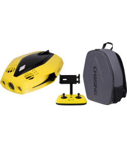 Chasing Dory Flash Pack