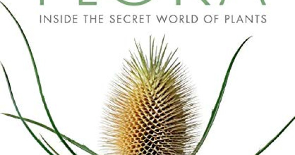 Flora: Inside the Secret World of Plants