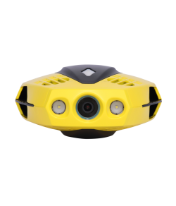 Chasing Dory