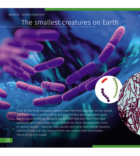 Invisible World. Knowledge book (ENG)