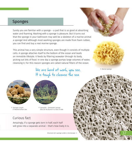 Invisible World. Knowledge book (ENG)