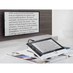 Skaitmeniniai didintuvai