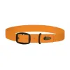 AVERY Standard Collar - Blaze Orange - Large