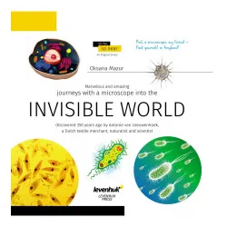 Knygos mikropasaulis