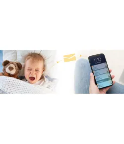 Human Detection | 1080P | Built-in Siren | Abnormal Sound Alarm | Night Vision | Two-way T