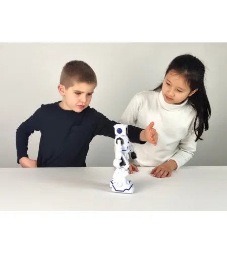 Робот Марко, Buki