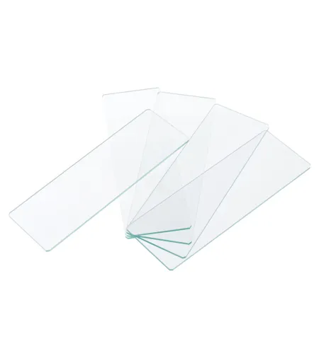 Stiklai/ skaidrės Levenhuk G50 , 50 vnt