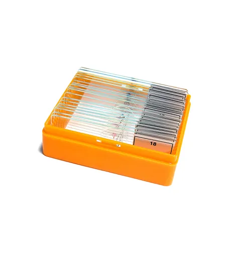 Paruoštų mikro skaidrių rinkinys Levenhuk N18 NG Biology and Zoology