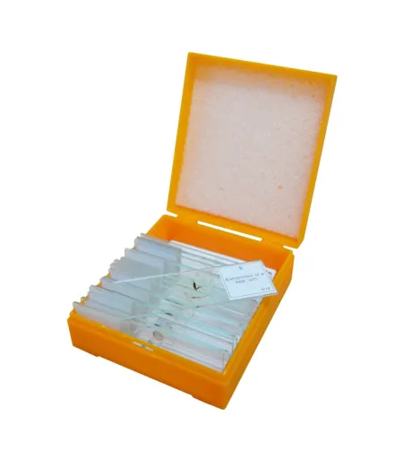 Levenhuk N10 NG Prepared Slides Set