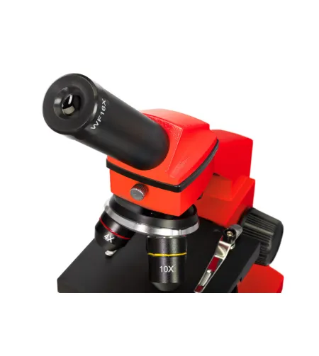 Микроскоп Levenhuk Rainbow 2L PLUS Orange Апельсин  64x - 640x с экспериментальным комплек