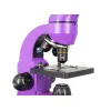 Microscope Levenhuk Rainbow 50L Amethyst 40x–800x with experimental kit K50