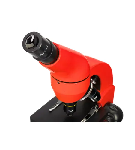 Microscope Levenhuk Rainbow 50L Orange 40x - 800x with experimental kit K50