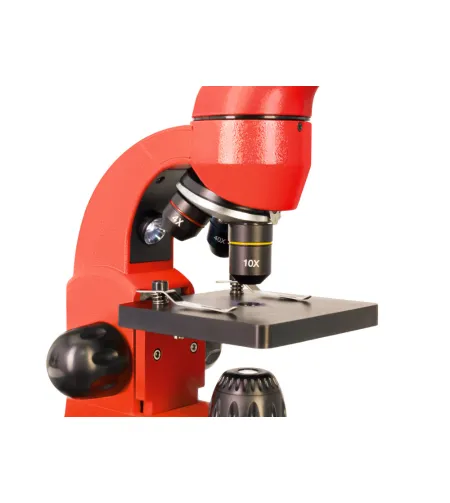 Microscope Levenhuk Rainbow 50L Orange 40x - 800x with experimental kit K50