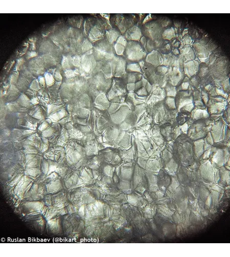 Microscope Levenhuk Rainbow 50L PLUS Moonstone 64x–1280x with experimental kit K50