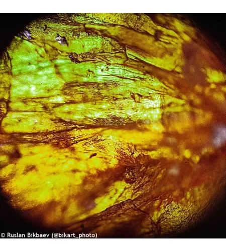 Mikroskopas Levenhuk Rainbow 50L PLUS Azure 64x–1280x su eksperimentiniu rinkiniu K50