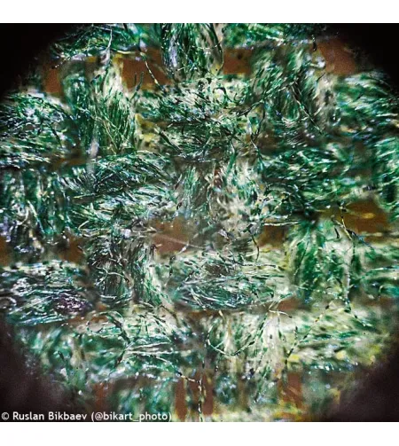 Mikroskopas Levenhuk Rainbow 50L PLUS Azure 64x–1280x su eksperimentiniu rinkiniu K50