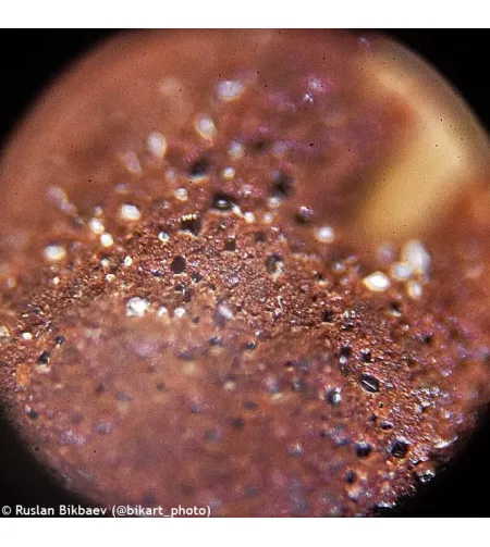 Microscope Levenhuk Rainbow 50L PLUS Orange 64x–1280x with experimental kit K50