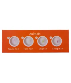 Набор микропрепаратов Levenhuk LabZZ C12, существа