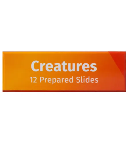 Prepared Slides Set Levenhuk LabZZ C12 Creatures