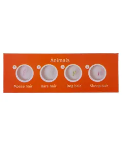 Paruoštas skaidrių rinkinys Levenhuk LabZZ CP24 Būtybės ir augalai