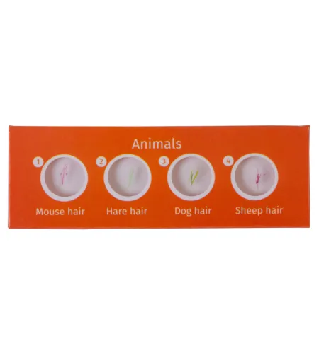 Набор микропрепаратов Levenhuk LabZZ CP24, существа и растения