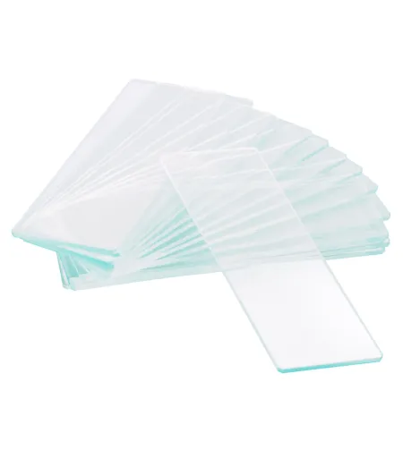 Levenhuk G50 1H Single Cavity Blank Slides, 50 pcs