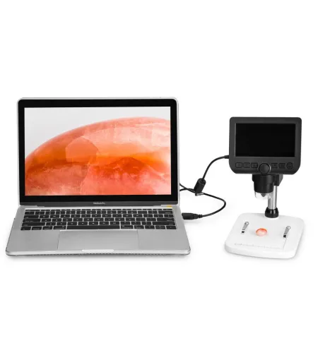 Цифровой Микроскоп Levenhuk DTX 350 LCD 20x-300x