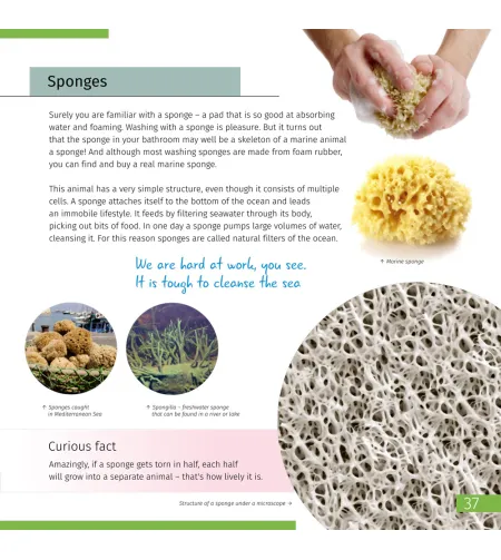 Nematomas pasaulis. Žinių knyga  (ENG)