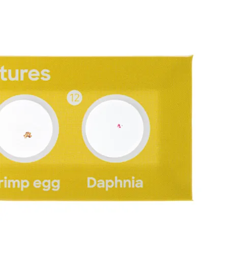 Discovery Fauna 12 Sagatavoti mikroskopa priekšmetstikliņi