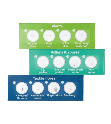 Discovery 12 Žolelių mikropreparatų rinkinys