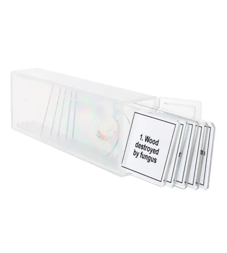 Набор микропрепаратов Discovery Prof DPS 5. «Мутации»