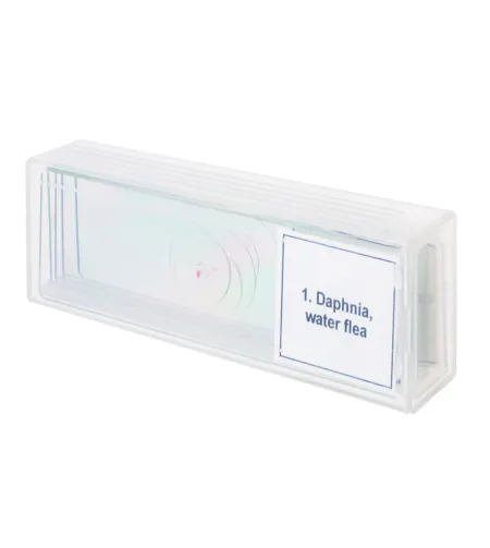 Mikropreparatų rinkinys Discovery Prof DPS 5. „Gyvenimas vandens laše&ldquo;