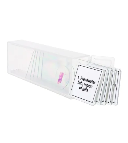 Набор микропрепаратов Discovery Prof DPS 5. «Амфибия»