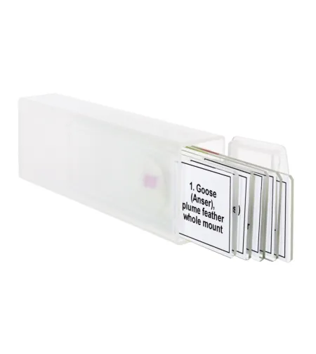 Discovery Prof Specimens DPS 5. &ldquo;Birds&rdquo;