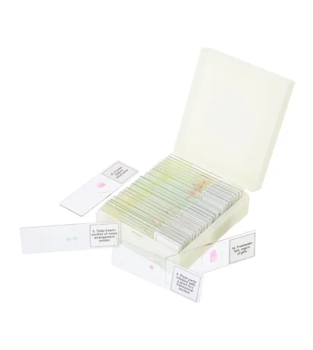 Mikropreparatų rinkinys Discovery Prof DPS 25. "Biologija, paukščiai ir kt."