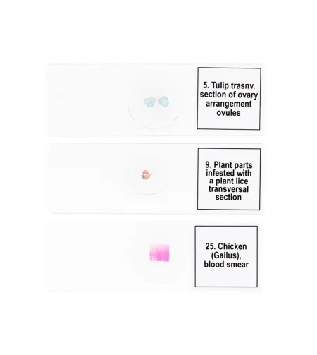 Mikropreparatų rinkinys Discovery Prof DPS 25. "Biologija, paukščiai ir kt."