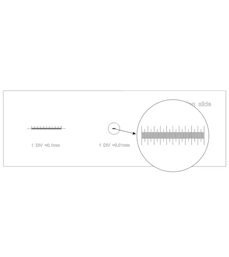 Слайд калибровочный Levenhuk 3