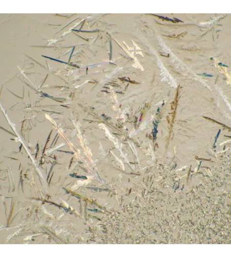 Биологический микроскоп MAGUS Bio 230B