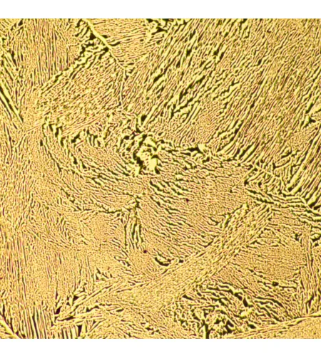 MAGUS Metal 600 Metallurgical Microscope