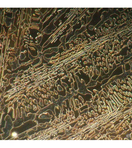 MAGUS Metal 650 BD Metallurgical Microscope