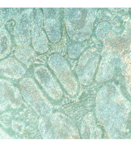 MAGUS Metal V700 Metallurgical Inverted Microscope