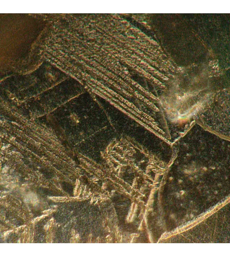 MAGUS Metal V700 BD Metallurgical Inverted Microscope