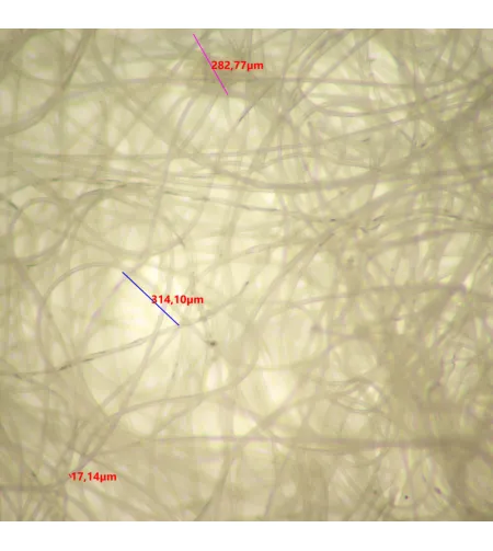 Стереоскопический микроскоп MAGUS Stereo 9T