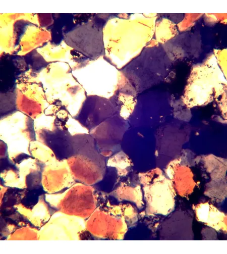 MAGUS Pol 850 Polarizing Microscope