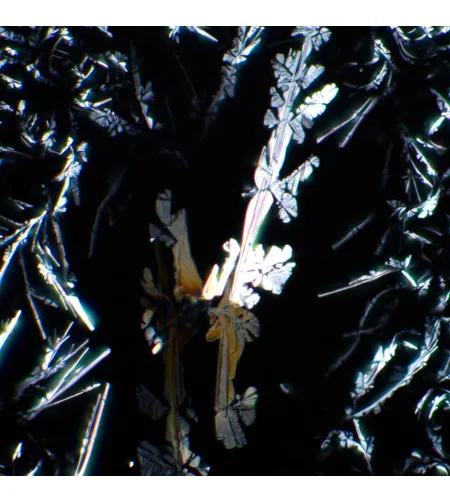 MAGUS SPD1 poliarizatoriaus/analizatoriaus rinkinys