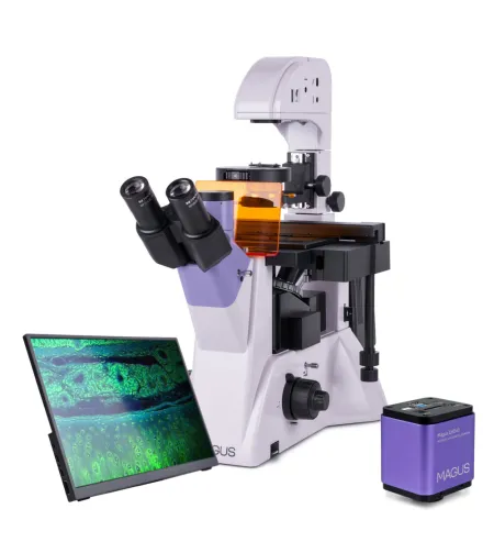 Fluorescencinis invertuotas skaitmeninis mikroskopas MAGUS Lum VD500 LCD