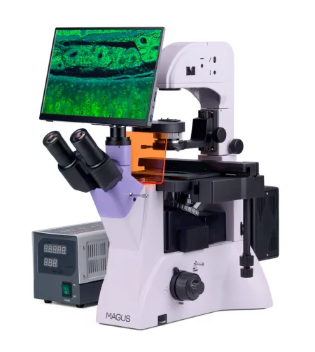 Fluorescencinis invertuotas skaitmeninis mikroskopas MAGUS Lum VD500 LCD