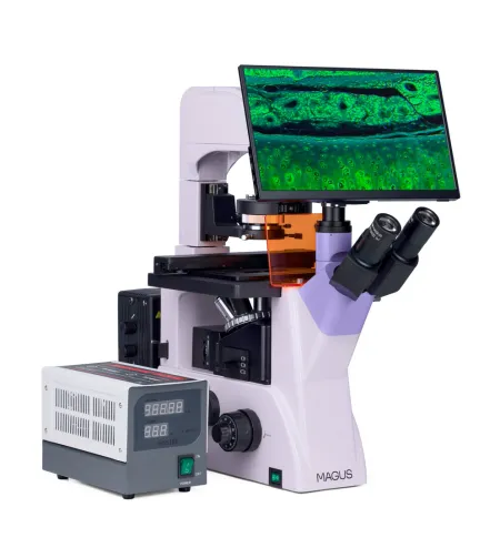 Fluorescencinis invertuotas skaitmeninis mikroskopas MAGUS Lum VD500 LCD