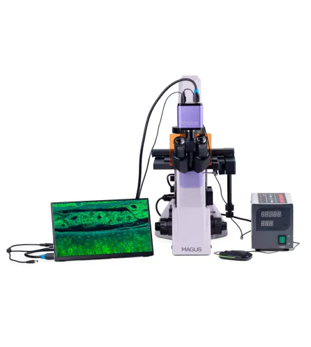 Fluorescencinis invertuotas skaitmeninis mikroskopas MAGUS Lum VD500 LCD